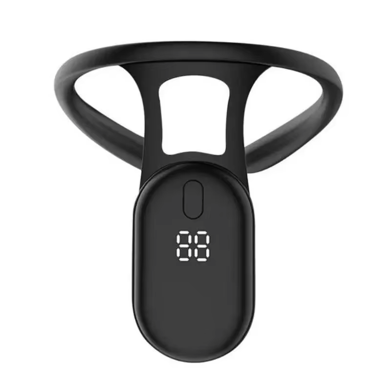HOMEFISH HOMEFISH Slimme houdi - Smart Posture Sensor recensie en prijs