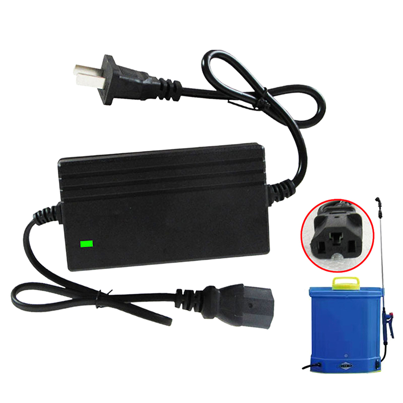 1A lithiumbatterijlader reserv - Electric Gadget recensie en prijs